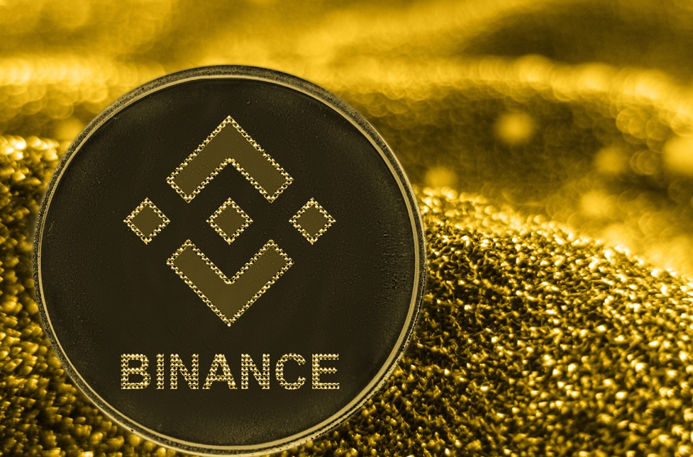 Binance Coin (BNB)
