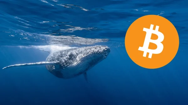 ¡La antigua ballena de Bitcoin mueve $60M después de 12 años!