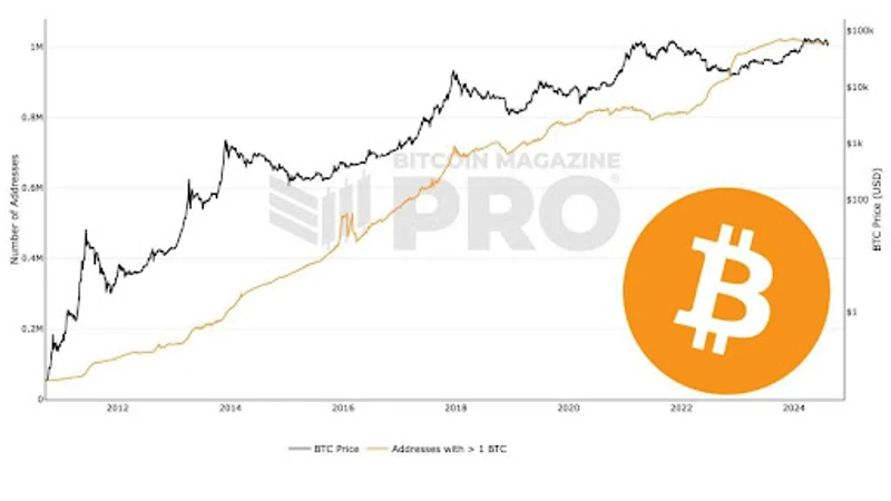 Gráfico que muestra el número de direcciones Bitcoin que poseen 1 BTC
