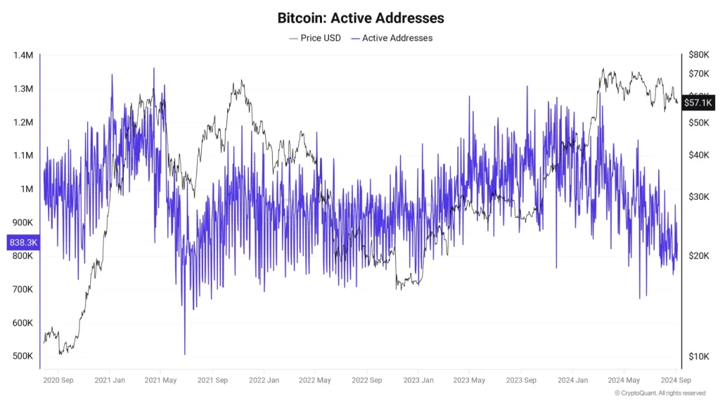 Bitcoin-direcciones-activas